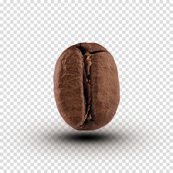Coffee bean Cafe Cocoa bean Food grain, light bean transparent background PNG clipart