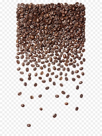 Coffee bean Cafe Seattle's Best Coffee Coffee bag - coffe been 