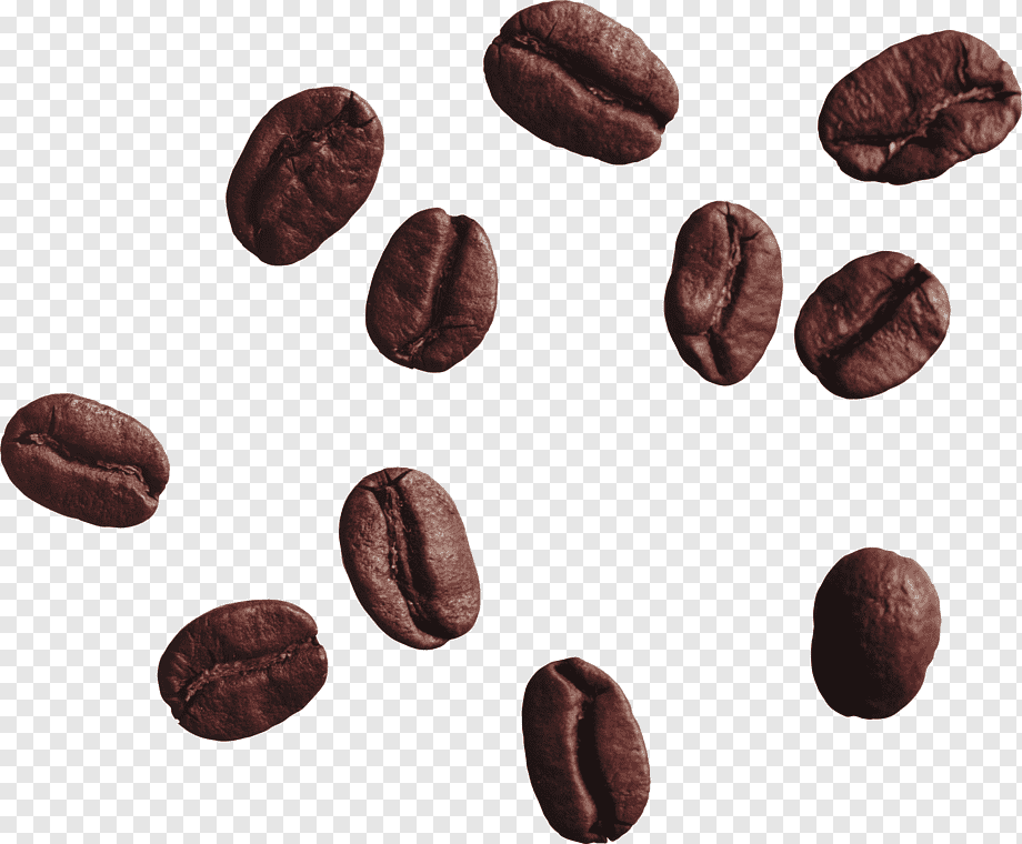 Coffee bean Espresso Cafe, coffee beans, coffee, cocoa Bean, superfood png