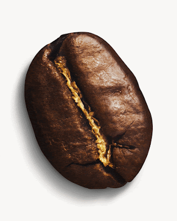 Coffee bean, isolated image | Free Photo - rawpixel