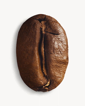 Coffee bean, isolated image | Free Photo - rawpixel