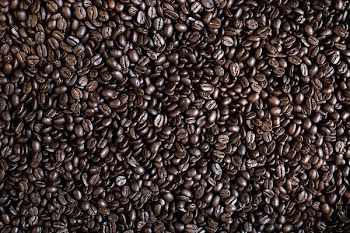 coffee bean lot