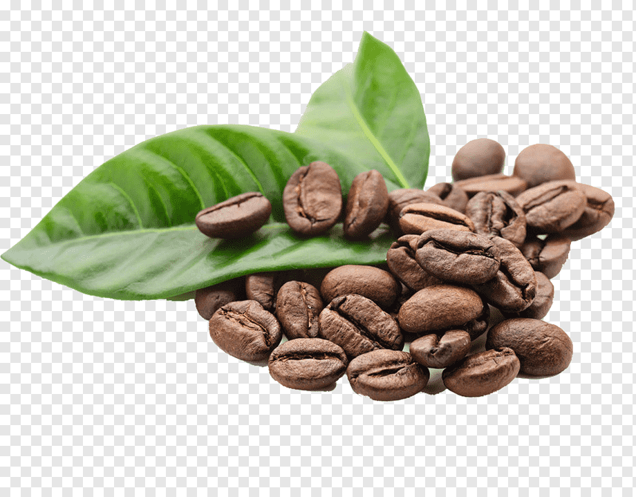 coffee bean lot illustration, Arabica coffee Espresso Kona coffee Coffee bean, Coffee beans element, food, leaf, cafe png