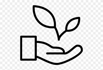 Coffee Bean - Natural Environment