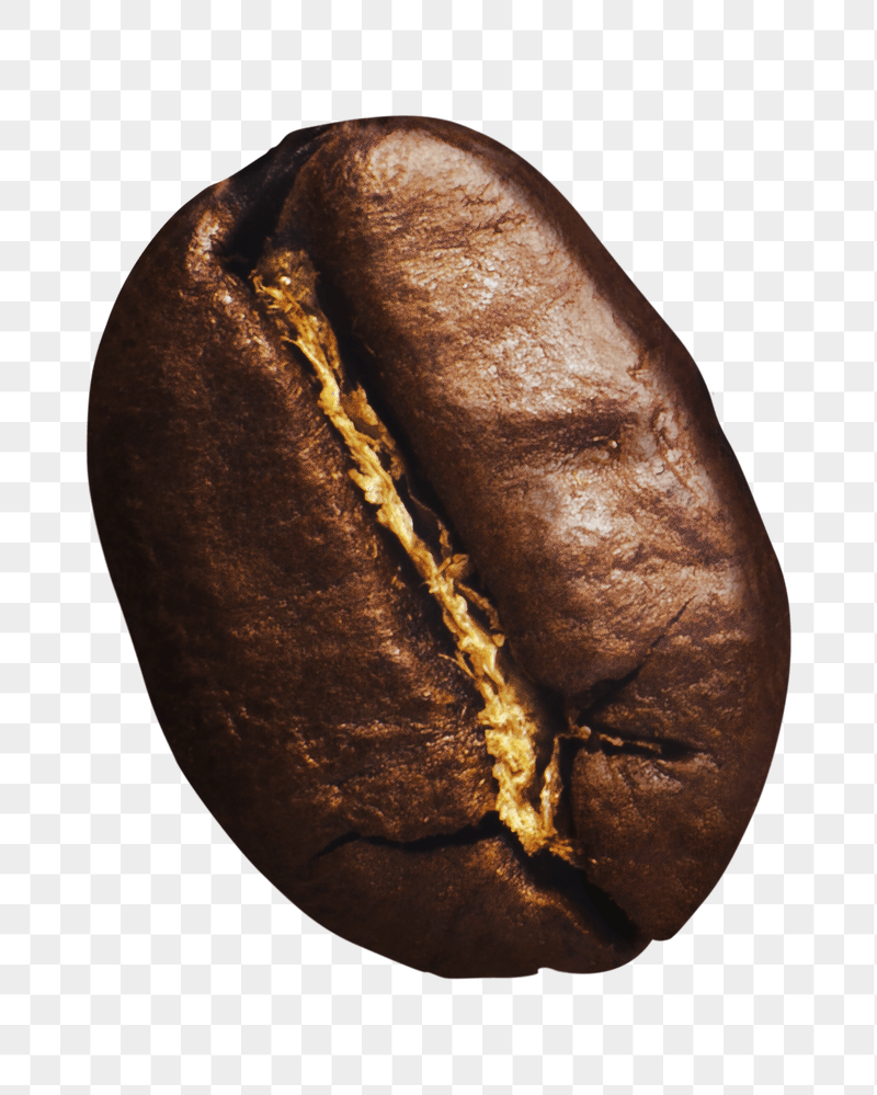 Coffee bean png sticker, transparent | Free PNG - rawpixel