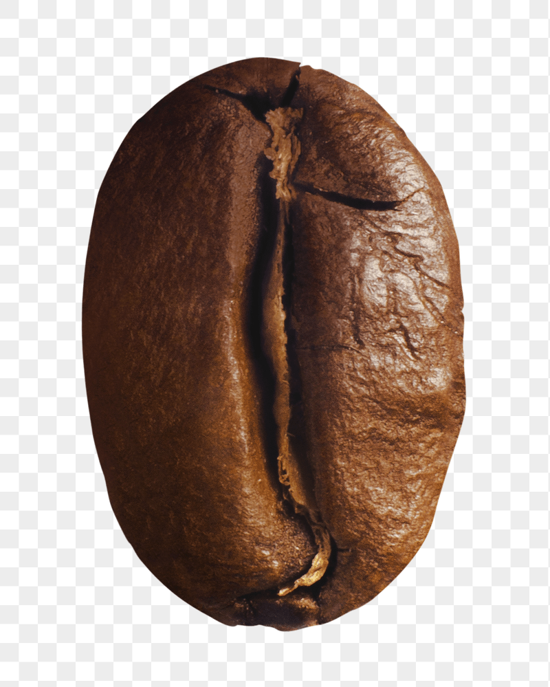 Coffee bean png sticker, transparent | Free PNG - rawpixel