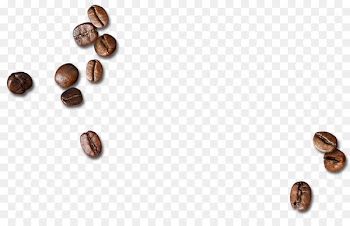 Coffee bean - Scattered coffee beans 