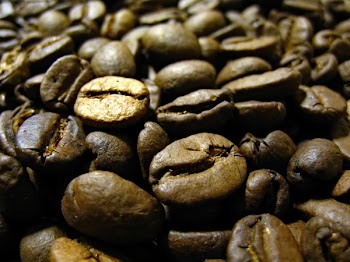Coffee Beans