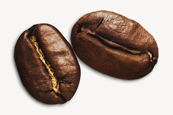 Coffee beans, collage element psd | Free PSD - rawpixel