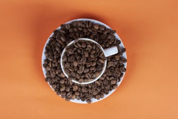 Coffee Beans in Cup