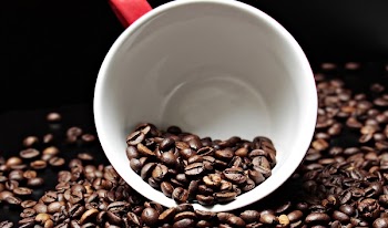 Coffee Beans in Mug