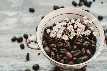 Coffee Beans in Mug With White Flowers on Focus Photo