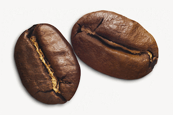 Coffee beans, isolated image | Free Photo - rawpixel