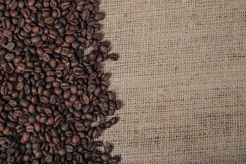 Coffee Beans On Burlap