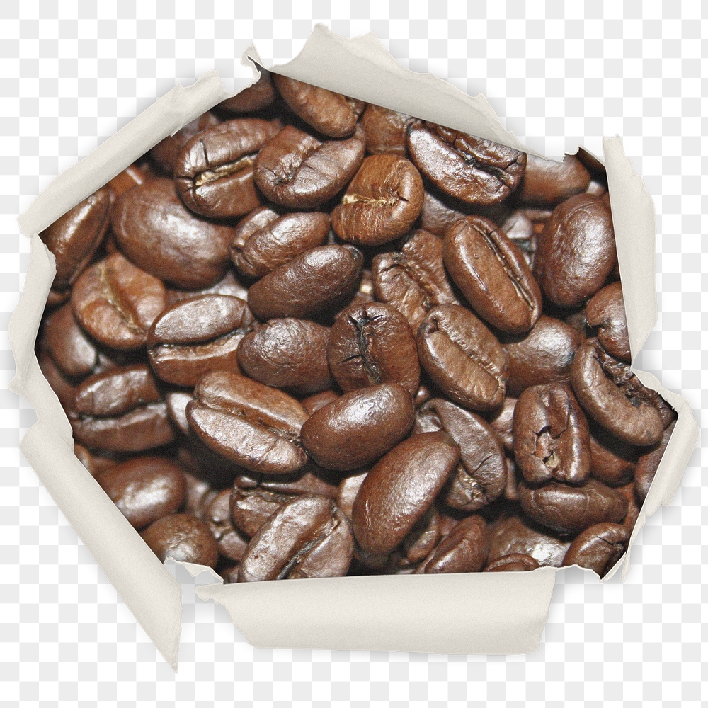 Coffee beans png badge sticker, | Free PNG - rawpixel