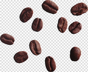 coffee beans png - Free PNG Images | TOPpng