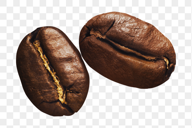 Coffee beans png sticker, transparent | Free PNG - rawpixel
