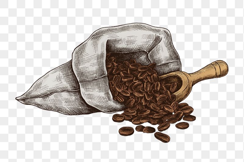 Coffee beans png vintage sticker | Free PNG - rawpixel