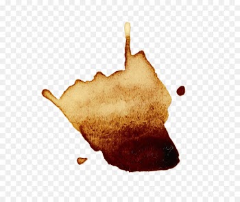 Coffee, Coffee Transparent, Stain, Leaf, Tree PNG