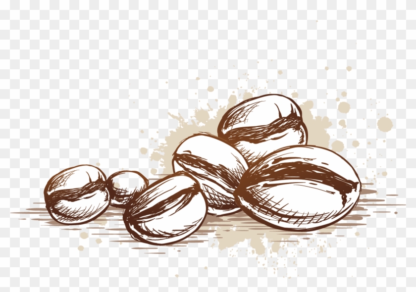 Coffee Cup Cafe Coffee Bean - Coffee Bean