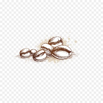 Coffee cup Cafe Coffee bean - Vector coffee beans 