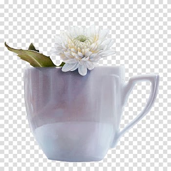 Coffee cup Porcelain Vase Flower, Cups of flowers transparent background PNG clipart