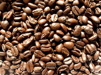 Coffee_Grains_8314 (3).JPG