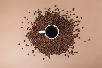 Coffee Mug In Means Top