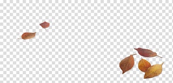Coffee Musical note Symbol Management consulting, leaf transparent background PNG clipart