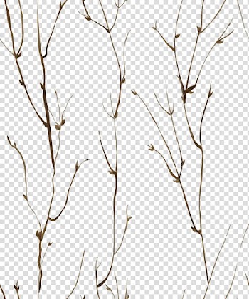 Coffee Roasting, watercolor leaves transparent background PNG clipart