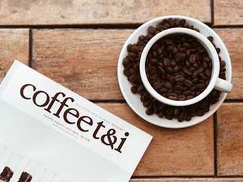 Coffee T&amp;i Catalog and Cups and Saucers on Top of Table