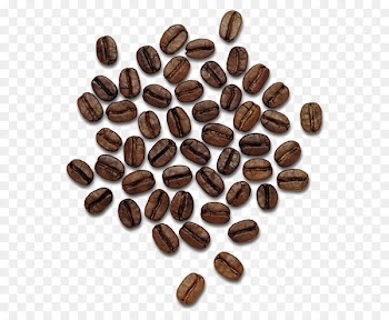 Coffee Thailand Praline Hazelnut Cocoa bean - Coffee beans PNG image 