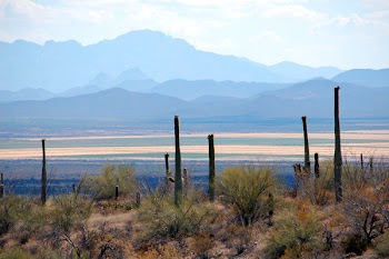 cohdrankndesertscene3.JPG