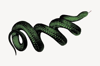 Coiled green snake clipart, vintage | Free Vector - rawpixel