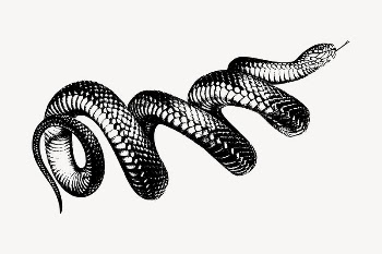 Coiled snake clipart, vintage hand | Free Vector - rawpixel
