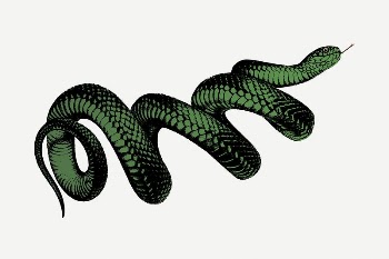Coiled snake drawing, vintage illustration | Free PSD - rawpixel