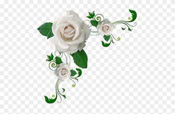 Coins Avec Fleurs Pour Cadres - White Roses No Background