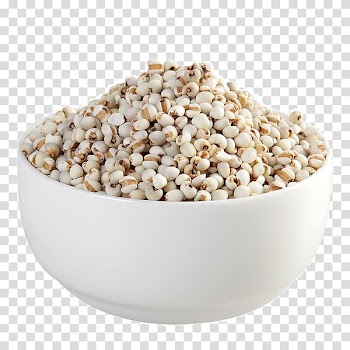 Coix lacryma-jobi Osteoarthritis Food Rheumatoid arthritis, Cup barley transparent background PNG clipart