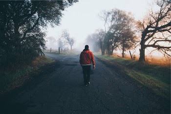 Cold fact - Free Lightroom Preset