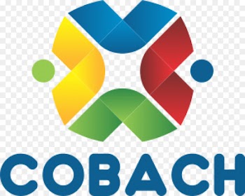 Colegio De Bachilleres, Cobach, Colegio De Bachilleres Plantel 15, Logo, Line PNG