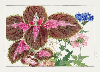 Coleus & verbena flower, Japanese | Free Photo Illustration - rawpixel
