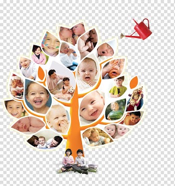 Collage of toddler's, Icon, Avatar Tree People Tree transparent background PNG clipart