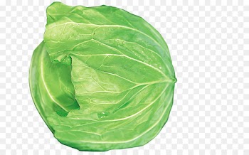 Collard Greens, Spring Greens, Leaf, Cabbage PNG