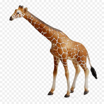 CollectA Action & Toy Figures Reticulated giraffe Jungle Animal -  
