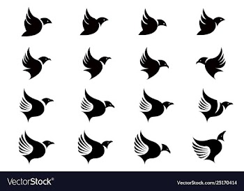 Collection flying bird silhouettes design vector image