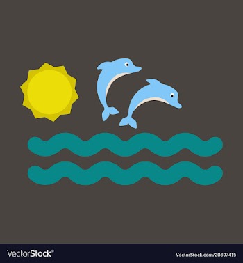 Collection jumping two dolphins and swimming vector image