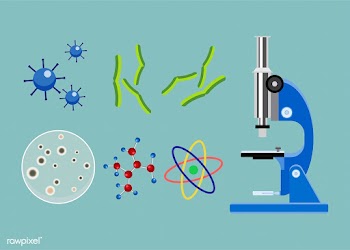 Collection of a biology icon illustration | Free stock vector - 462851