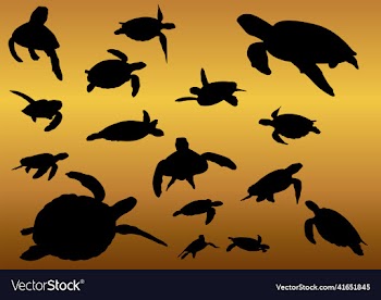 collection of animal turtle silhouette
