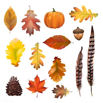 Collection of autumn leaves vector | Free stock vector - 60752