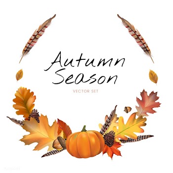 Collection of autumn leaves vector | Free stock vector - 60753